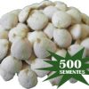 KIT NOZ DA ÍNDIA 500 NOZES